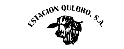 Logo de cliente